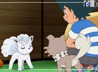 动漫精灵宝可梦：精选高清动漫大图分享