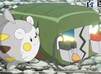 动漫精灵宝可梦：福利来了，动漫剧情高清图分享