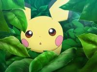 《精灵宝可梦》新系列动画预告公开，智爷又要被虐了