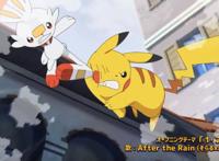 《精灵宝可梦》新系列动画预告公开，智爷又要被虐了