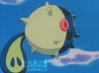 《精灵宝可梦》TV动画中，曾被观众遗忘的神奇宝贝们