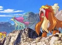 《精灵宝可梦》里确认死亡的宝可梦，看得人很心疼啊！