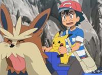 《精灵宝可梦》里确认死亡的宝可梦，看得人很心疼啊！