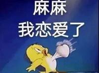 数码宝贝的主角名字为什么不一样