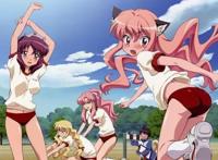 动漫：盘点几部只可意会不可言传的后宫番！