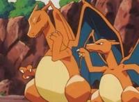 宝可梦新无印：小智的喷火龙曾多次回归，这一次机会有多大？