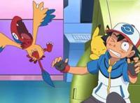 精灵宝可梦：自给自足的鸟类祖宗，生下来却不会飞翔