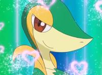 《宝可梦》动画中难缠的招式迷人，小智是如何收服藤藤蛇的？