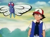 精灵宝可梦：小智的巴大蝴，从绿毛虫开始，就历经沧桑