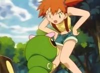 精灵宝可梦：小智的巴大蝴，从绿毛虫开始，就历经沧桑