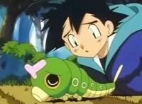 精灵宝可梦：小智的巴大蝴，从绿毛虫开始，就历经沧桑