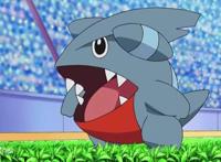 《精灵宝可梦》中小智拥有的4只地面系精灵，圆陆鲨只能排最后？