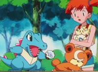 神奇宝贝们惯用的抢食物方式，扒手猫、导电飞鼠都不如熊宝宝