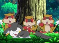 神奇宝贝们惯用的抢食物方式，扒手猫、导电飞鼠都不如熊宝宝