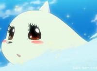 神奇宝贝之间，更容易一见钟情，你见过哪些痴情的宝可梦？