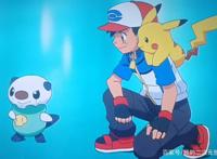 神奇宝贝之间，更容易一见钟情，你见过哪些痴情的宝可梦？