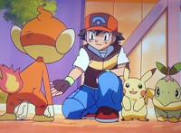 精灵宝可梦：继第一、二代之后，小智终于集齐了第五代御三家