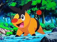 精灵宝可梦：继第一、二代之后，小智终于集齐了第五代御三家