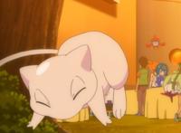 雪拉比、基拉祈、美洛耶塔等梦幻神奇宝贝，你最想得到谁？