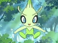 雪拉比、基拉祈、美洛耶塔等梦幻神奇宝贝，你最想得到谁？