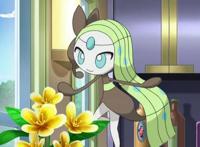 雪拉比、基拉祈、美洛耶塔等梦幻神奇宝贝，你最想得到谁？