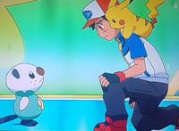 神奇宝贝：差点被小智放生的宝可梦，每一只都妥妥赚足了眼泪