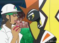 守护神宝可梦，别只知道卡噗家族，还有这些梦幻神奇宝贝