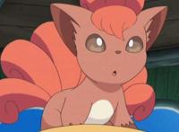 《宝可梦》奇闻趣事：望罗与竹兰的关系，被叫小狗精灵的六尾！