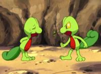 精灵宝可梦：看到小智的木守宫，想到了索隆和杀生丸，你有同感吗