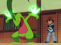 《精灵宝可梦》中的小故事，教会我们哪些大道理？