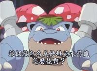 《精灵宝可梦》这些宝可梦只在动漫中出现，三鸟一体你见过吗