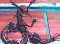 《精灵宝可梦》这些宝可梦只在动漫中出现，三鸟一体你见过吗