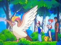 精灵宝可梦：小智必有的一类神奇宝贝，只有看过动画的才知道