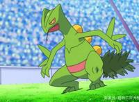 精灵宝可梦：小智在每个地区的“王牌”神奇宝贝，火系占尽风头