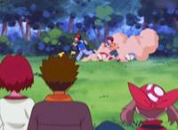 精灵宝可梦：小智意外成为传说中的勇者大人，并收一枚可爱小徒弟