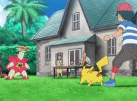 神奇宝贝的Z招式、超进化、特性等，你看好哪一种提升技能的方式