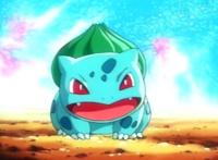 《精灵宝可梦》前三代“御三家”及其进化形态，你最喜欢哪一只？