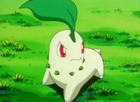 《精灵宝可梦》前三代“御三家”及其进化形态，你最喜欢哪一只？