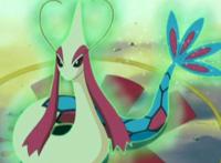 最美丽、最大、最小？你或许不知道的神奇宝贝之最，欢迎来补充