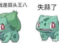 神奇宝贝的观看顺序你知道吗？学会正确的观看姿势，使你不再疑惑