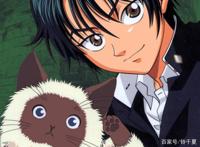 《网球王子》酷拽王子越前龙马