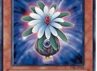 游戏王看似平淡无奇的一星植物族怪兽，如今却成炙手可热的卡牌