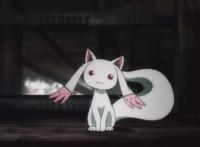 比《魔圆》还致郁！这部以魔法少女为题材的动画将在4月开播