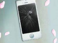 动漫勇者部12：完结撒花？这个结局作为下一篇章的开始那会更惨