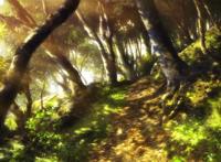 来自风平浪静的明天：精致的景色，吾辈向往的地方