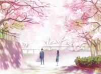 漫天飞舞的樱花!二次元最美的樱花都在这了!