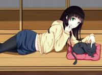 养老摸鱼首选《飞翔的魔女》