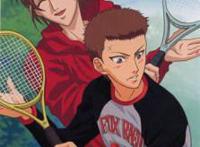 网王里的兄弟，你喜欢哪一对呢！