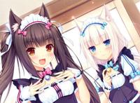 老司机肯定喜欢！动漫中的兽耳萌娘