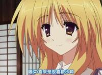 动漫：这些后宫番都看过？足见你对二次元是真爱！